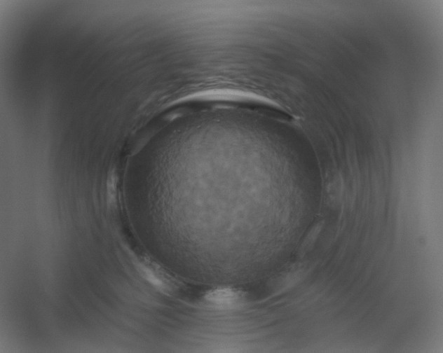 X0000054380231200508121615