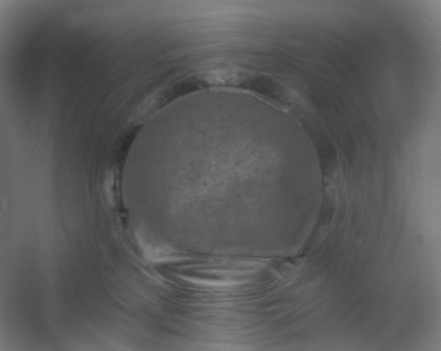 X0000054380233200508121615