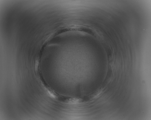 X0000054380235200508121615