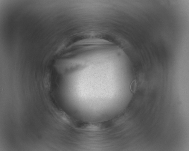 X0000054380236200508121615