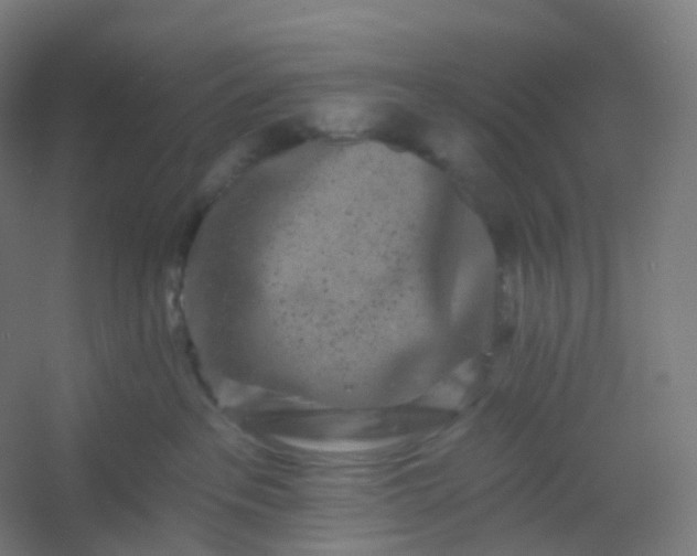 X0000054380237200508121614