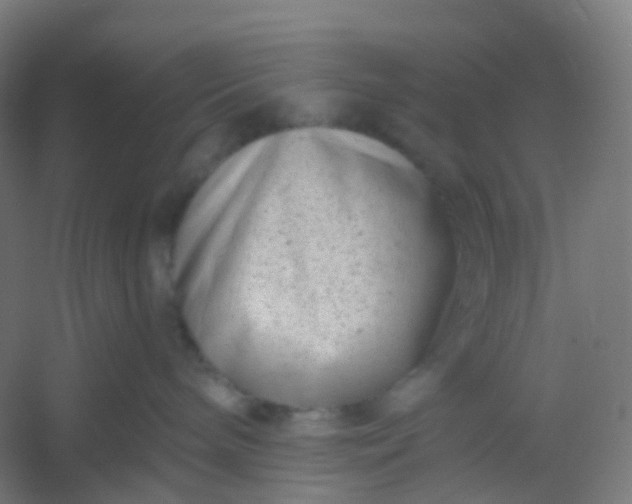X0000054380240200508121614