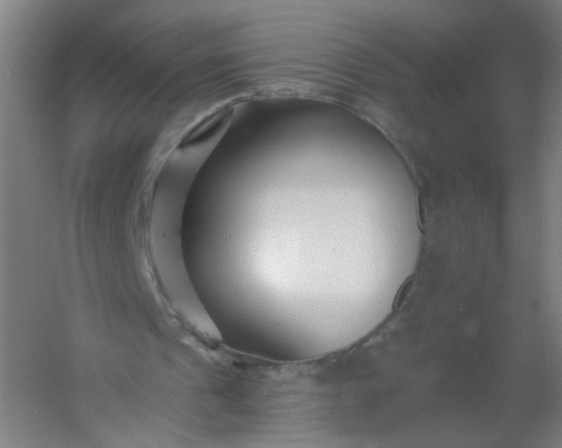 X0000054380241200508121614
