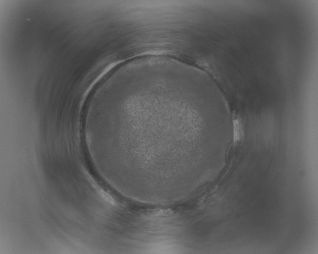 X0000054380243200508121614