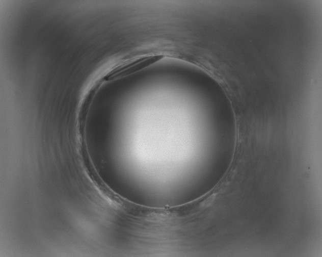 X0000054380245200508121614