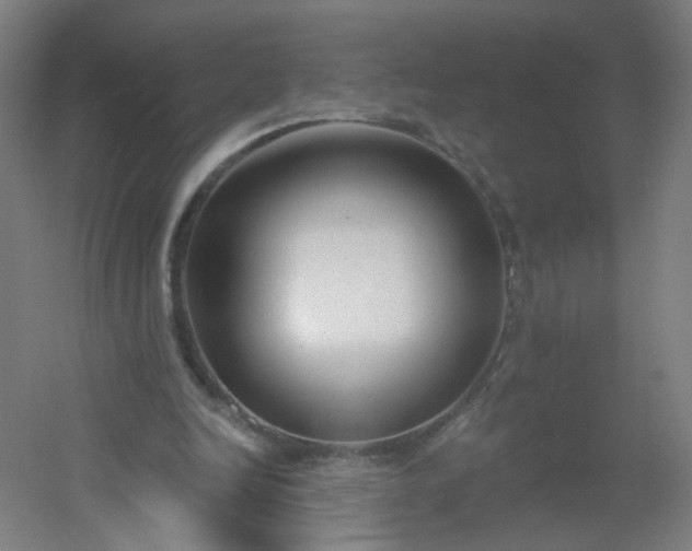 X0000054380246200508121614