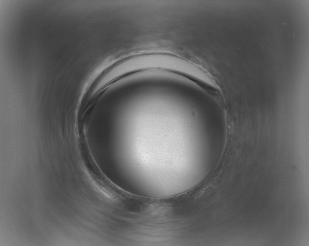 X0000054380248200508121614