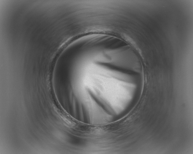 X0000054380249200508121614