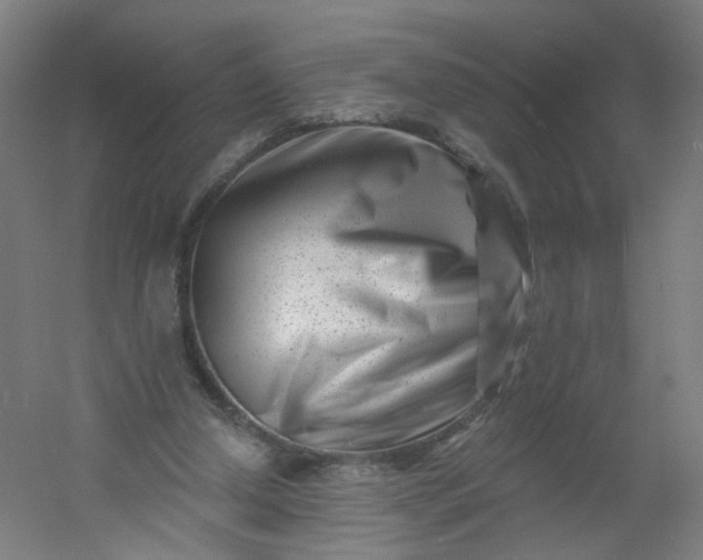 X0000054380250200508121614