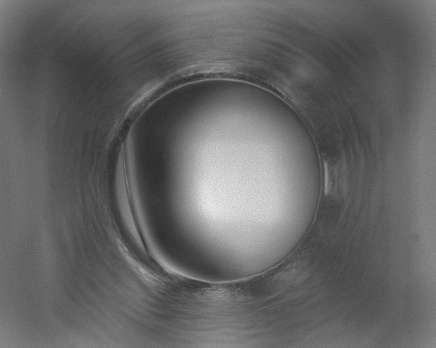 X0000054380253200508121614
