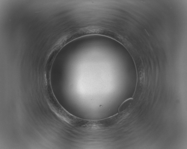 X0000054380254200508121614