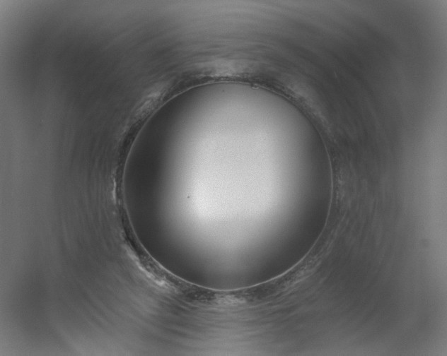 X0000054380257200508121614