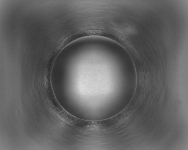 X0000054380259200508121614