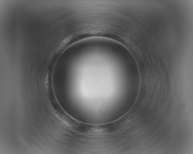 X0000054380260200508121614