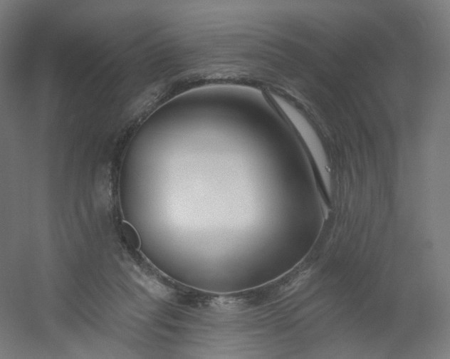 X0000054380261200508121614