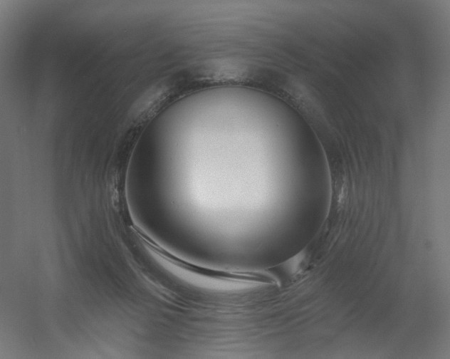 X0000054380264200508121614