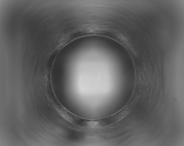 X0000054380265200508121614