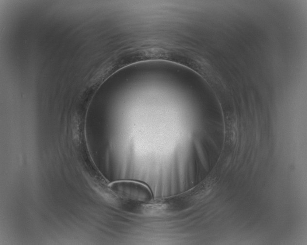 X0000054380266200508121614