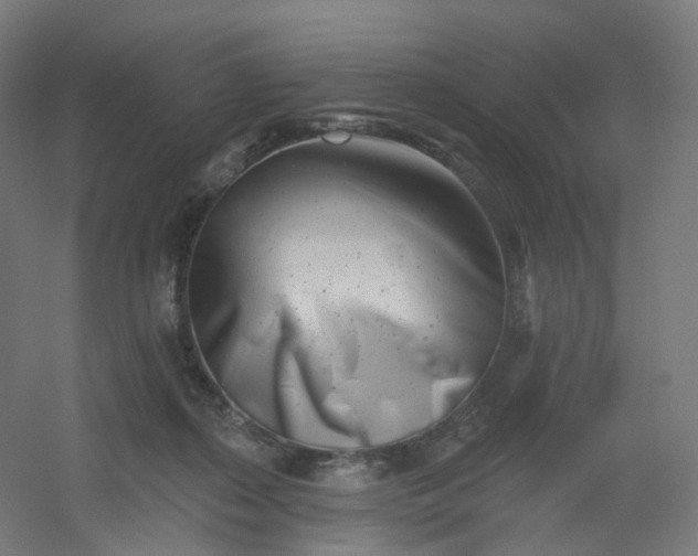 X0000054380267200508121614