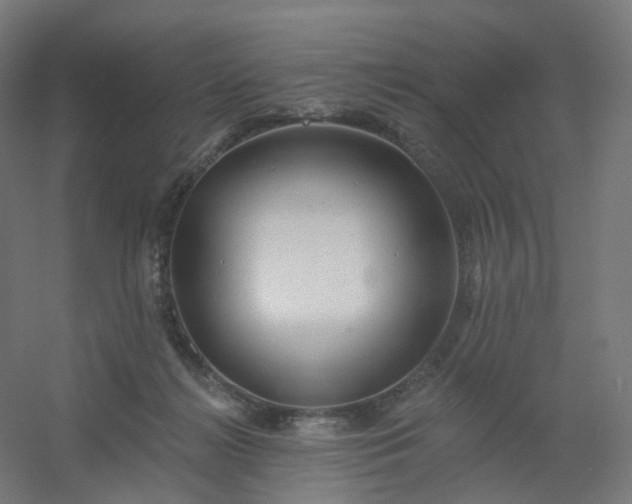 X0000054380268200508121614
