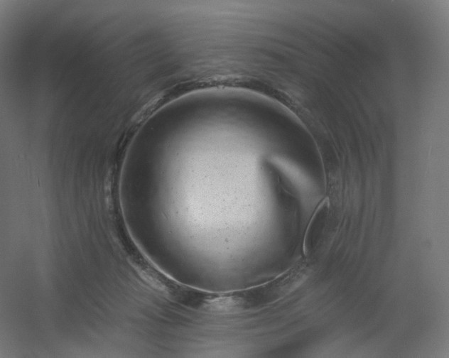 X0000054380269200508121614