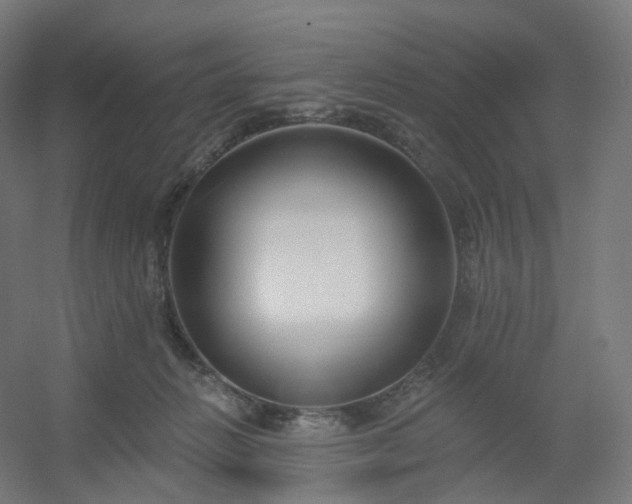 X0000054380270200508121614