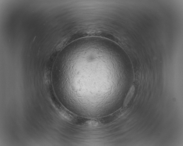 X0000054380272200508121614