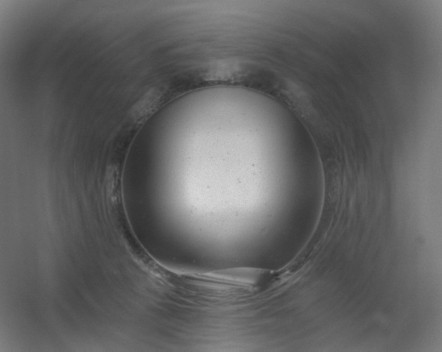 X0000054380273200508121614
