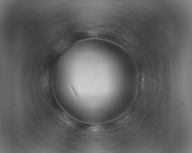 X0000054380275200508121614
