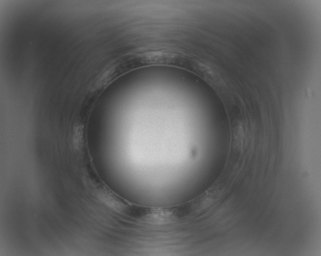X0000054380278200508121614