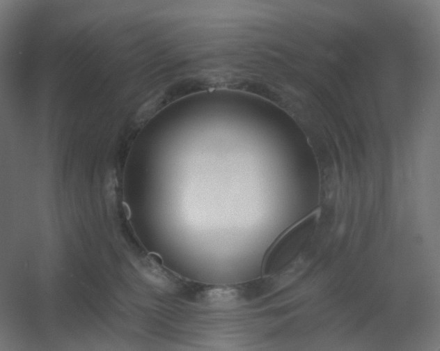 X0000054380279200508121614