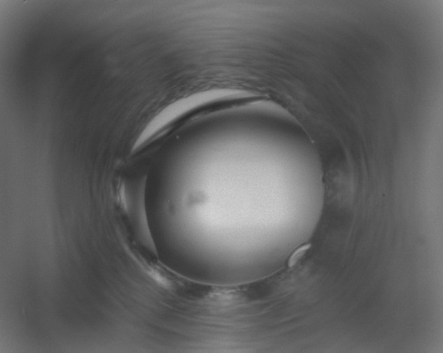 X0000054380280200508121614