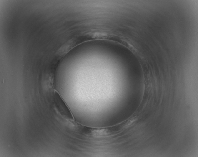 X0000054380281200508121614
