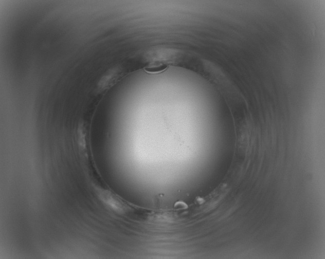 X0000054380282200508121614