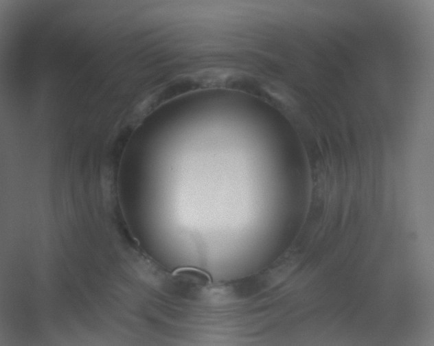 X0000054380283200508121614