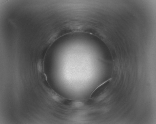 X0000054380287200508121614