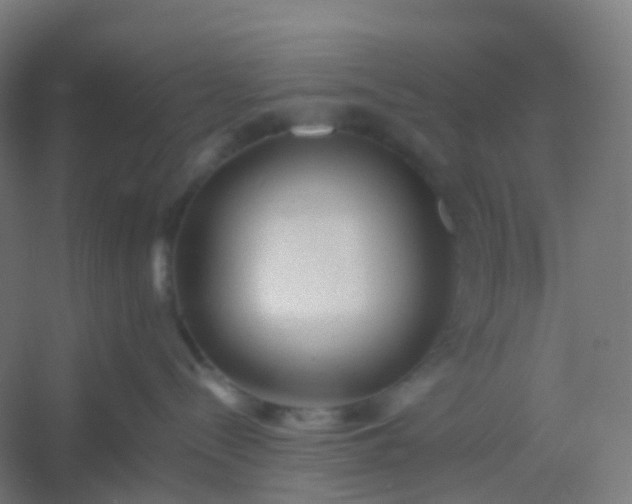 X0000054380288200508121614