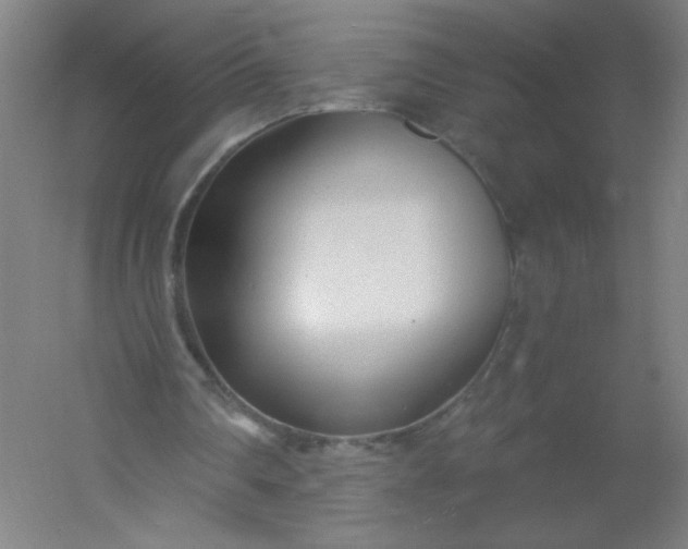 X0000054380290200508121614
