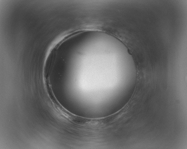 X0000054380294200508121614
