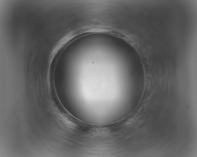 X0000054380296200508121613