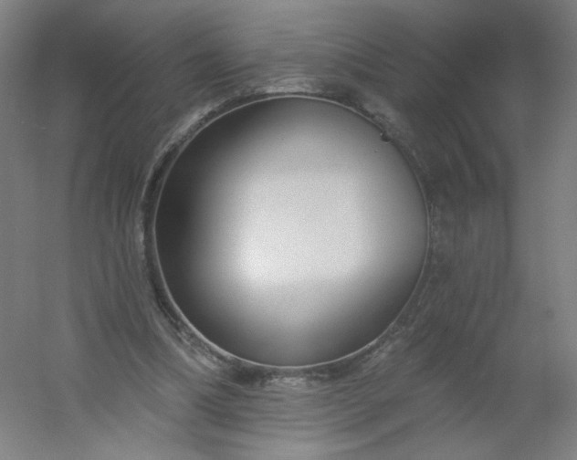 X0000054380298200508121613