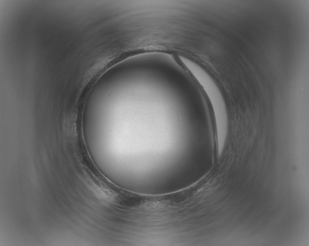 X0000054380299200508121613