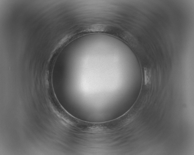 X0000054380300200508121613