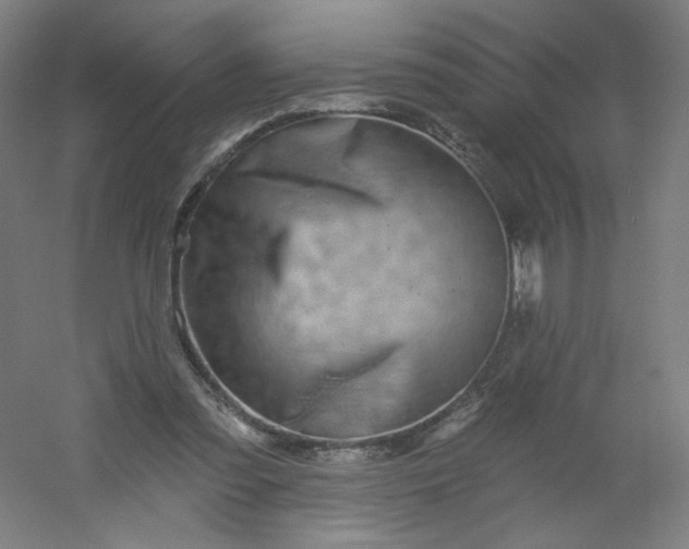 X0000054380301200508121613