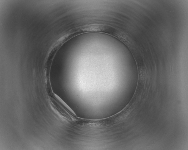 X0000054380302200508121613