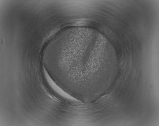 X0000054380303200508121613