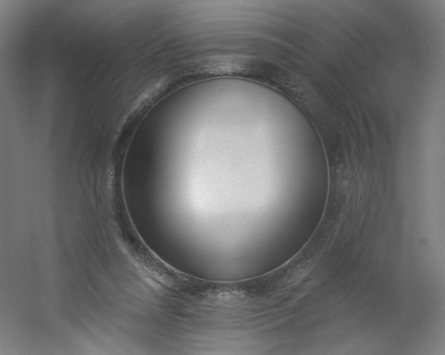 X0000054380304200508121613