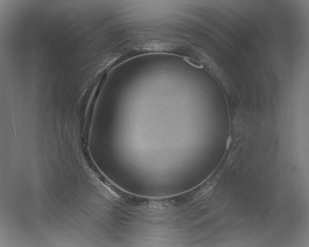 X0000054380305200508121613