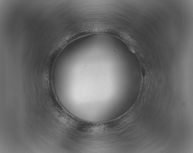 X0000054380306200508121613