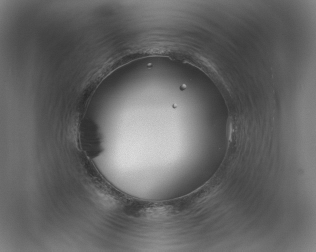 X0000054380307200508121613